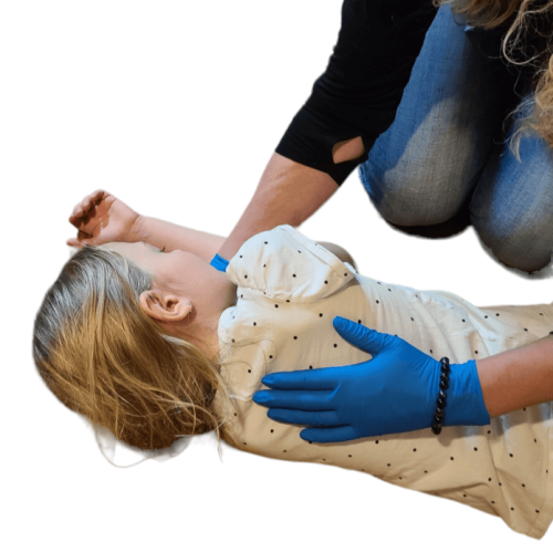 Red Cross & Heart and Stroke Courses
