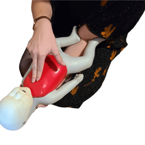 Red Cross & Heart and Stroke Courses